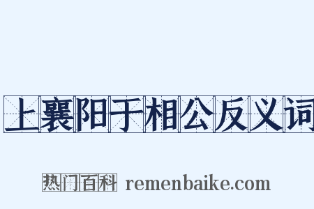 上襄阳于相公反义词是什么意思的图片